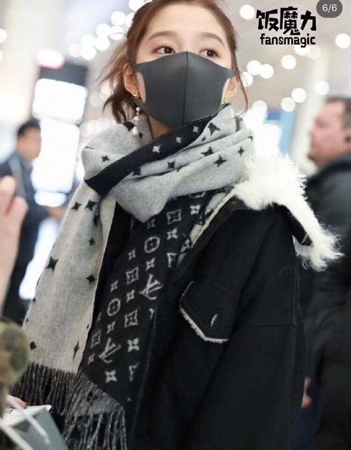 Louis Vuitton Scarf LV00055